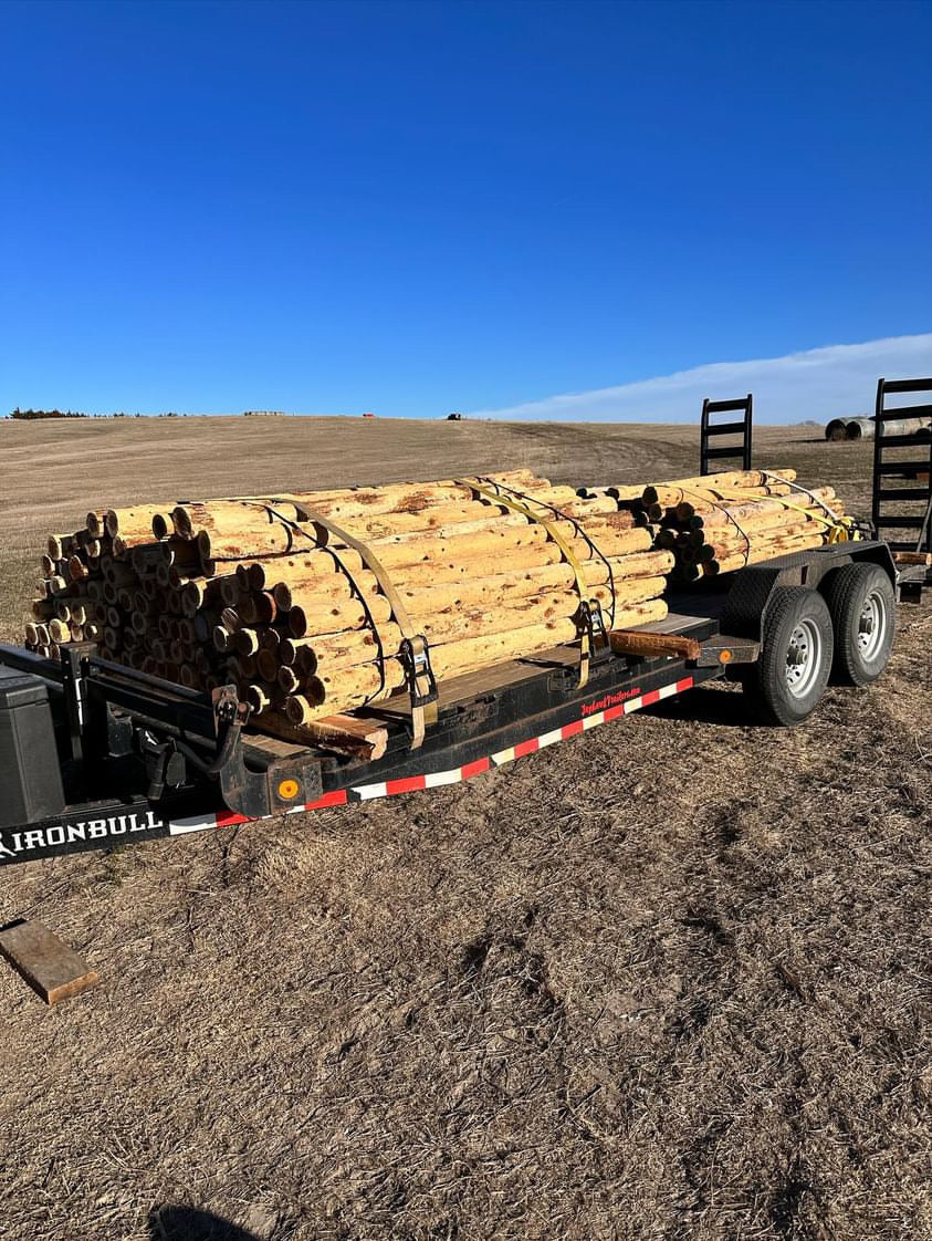 3.5”-4” x 6.5’ Cedar SpencePost 50 Post Bundle