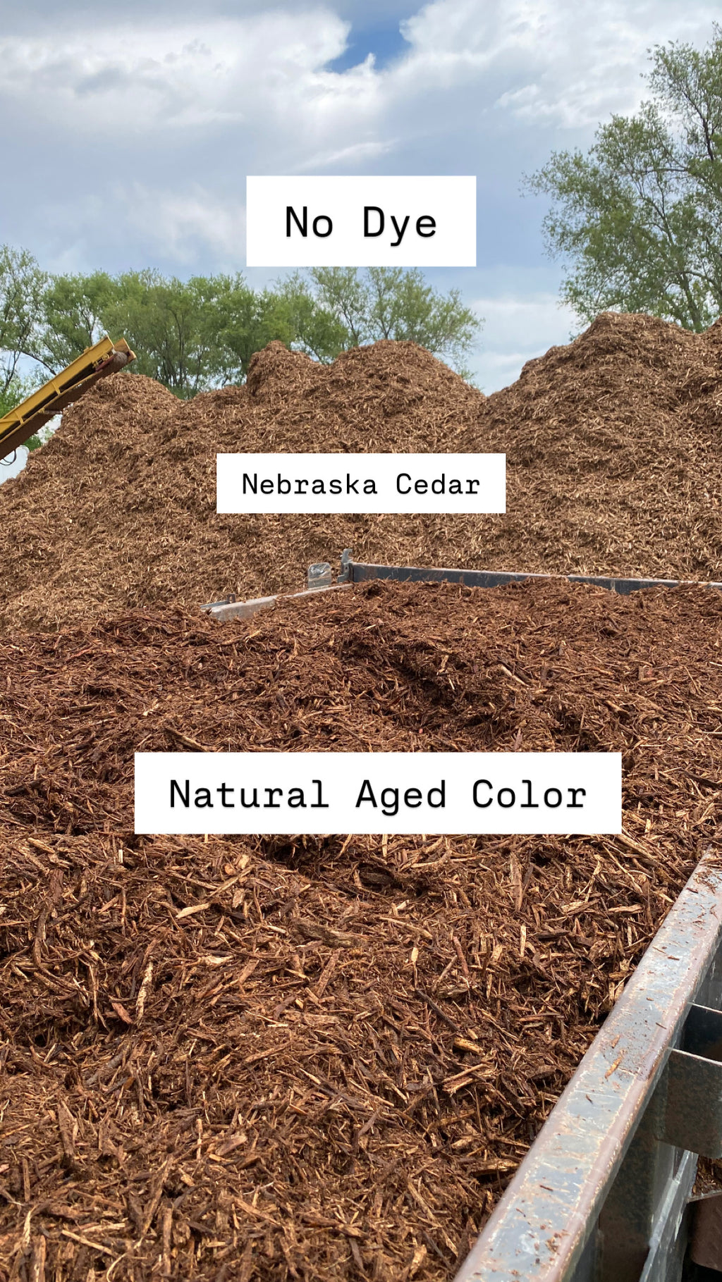 $50/Yard Cedar Mulch Natural Brown