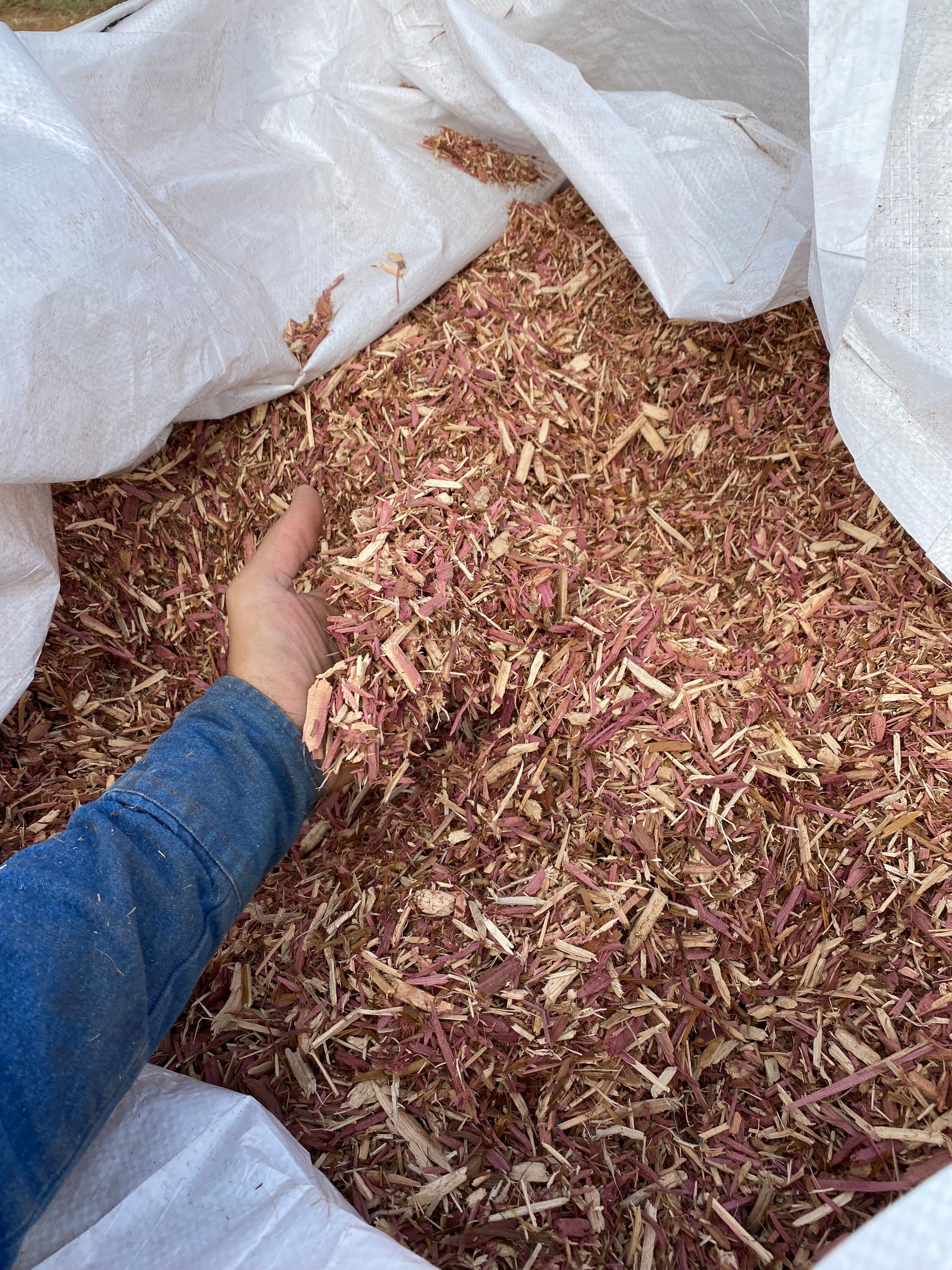 Hand reaching into a bag of wood chips or mulch Cedar Barons Show Fiber Fresh Red Cedar Mulch 