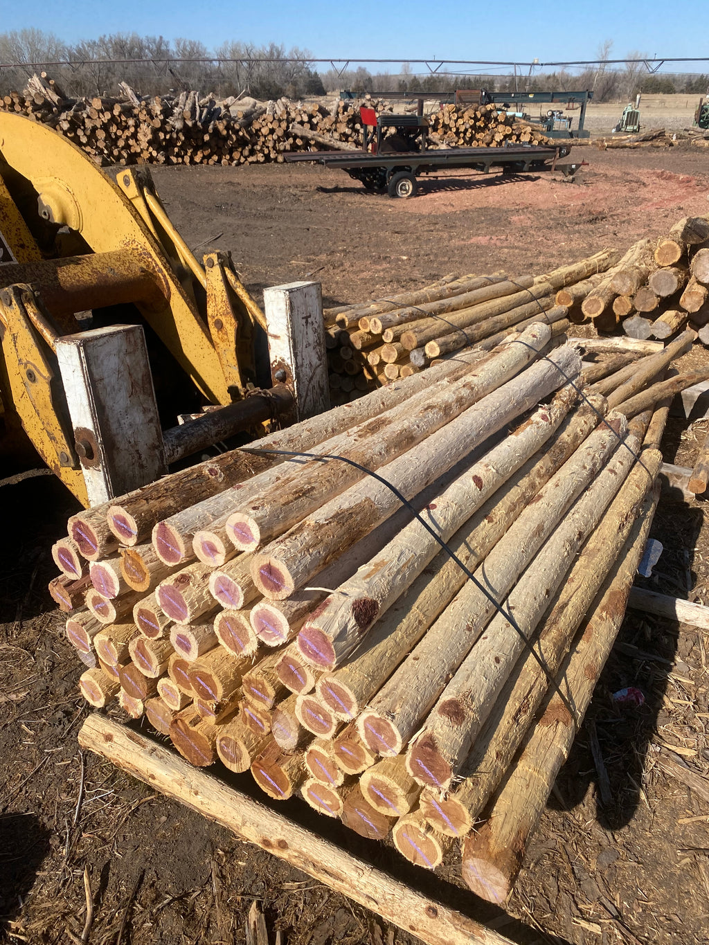 3.5”-4” x 6.5’ Cedar SpencePost 50 Post Bundle