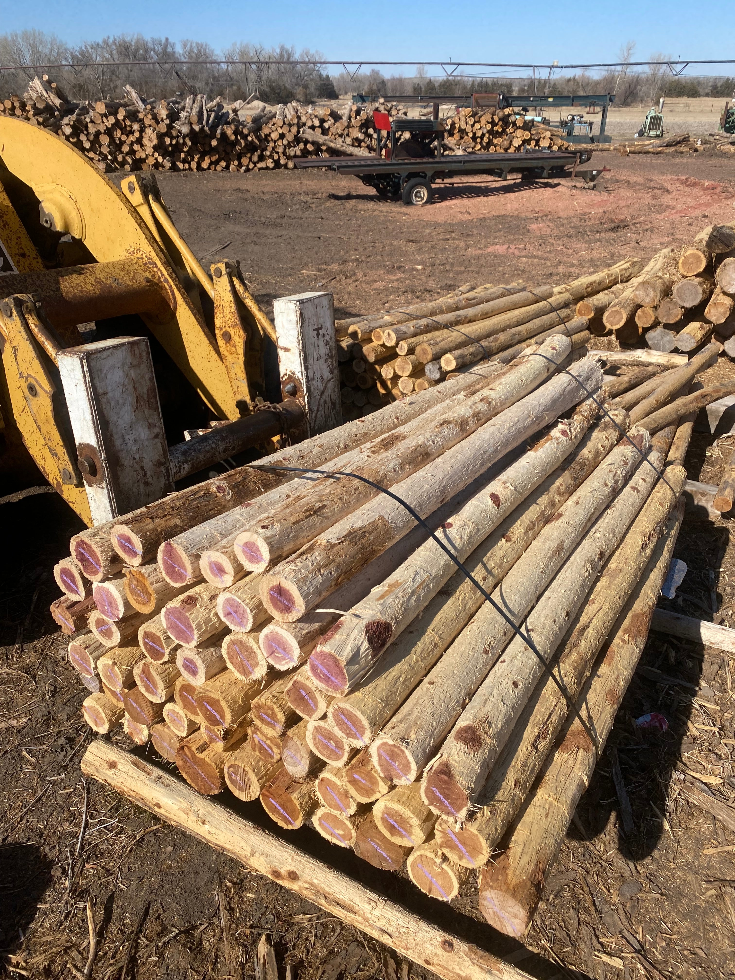 3.5”-4” x 6.5’ Cedar SpencePost 50 Post Bundle