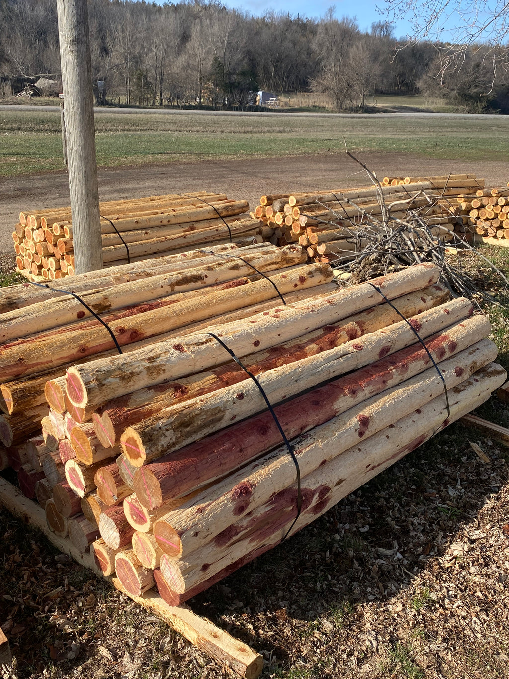 3.5”-4” x 6.5’ Cedar SpencePost 50 Post Bundle