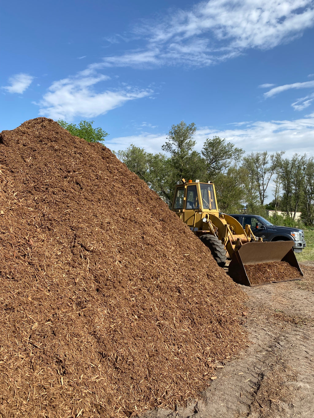 $50/Yard Cedar Mulch Natural Brown