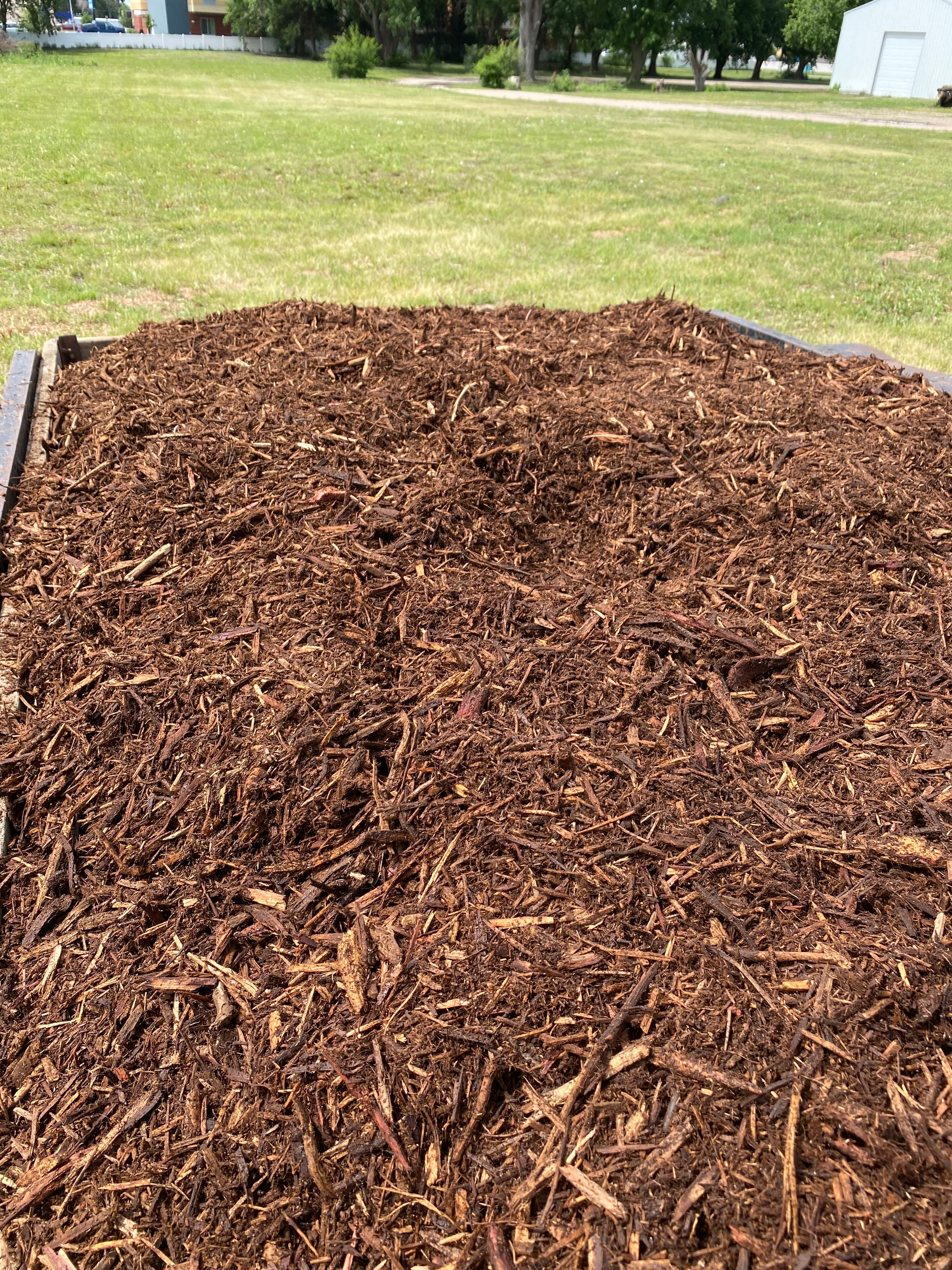 $50/Yard Cedar Mulch Natural Brown
