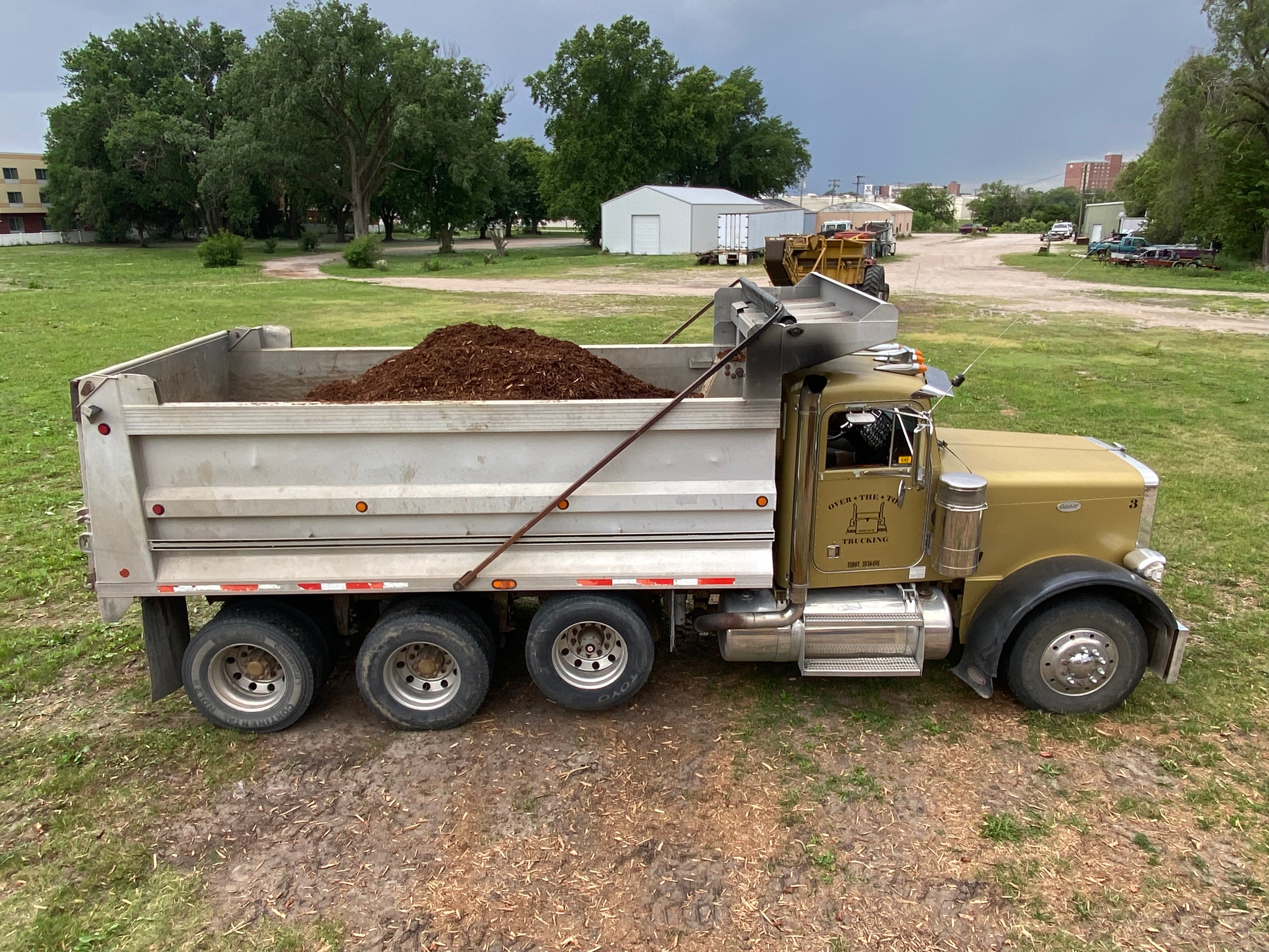 Dump truck with a load of cedar mulch on a grassy area with trees and buildings in the background.