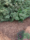 $50/Yard Cedar Mulch Natural Brown