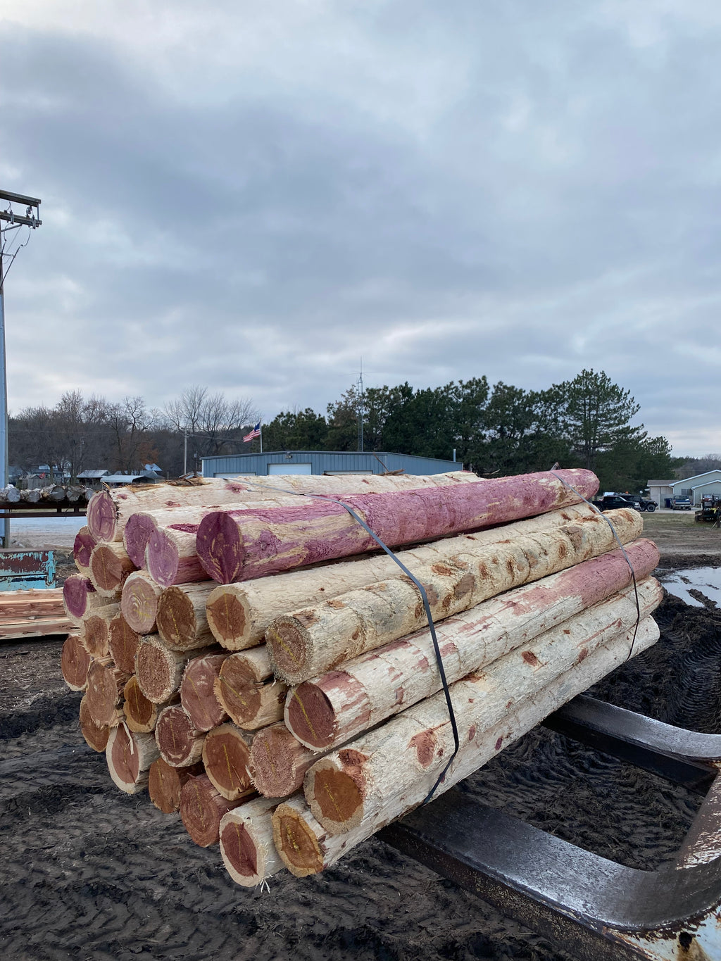 5” x 8’ Cedar SpencePost 30 Post Bundle