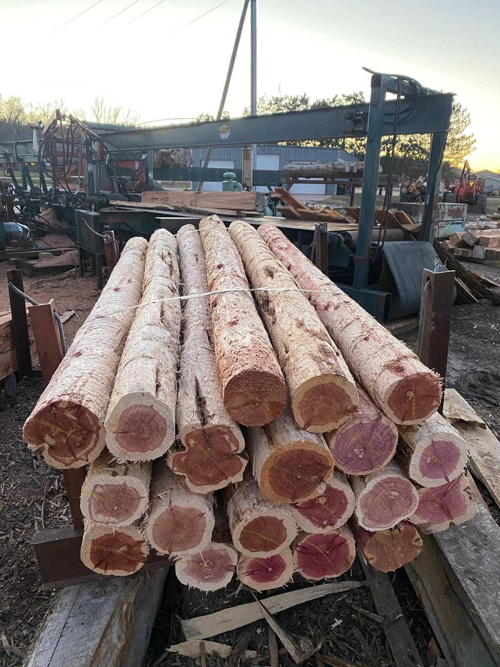 6” x 8’ Cedar SpencePost Fence post 