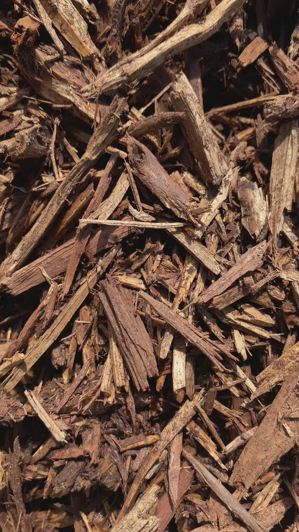 $50/Yard Cedar Mulch Natural Brown