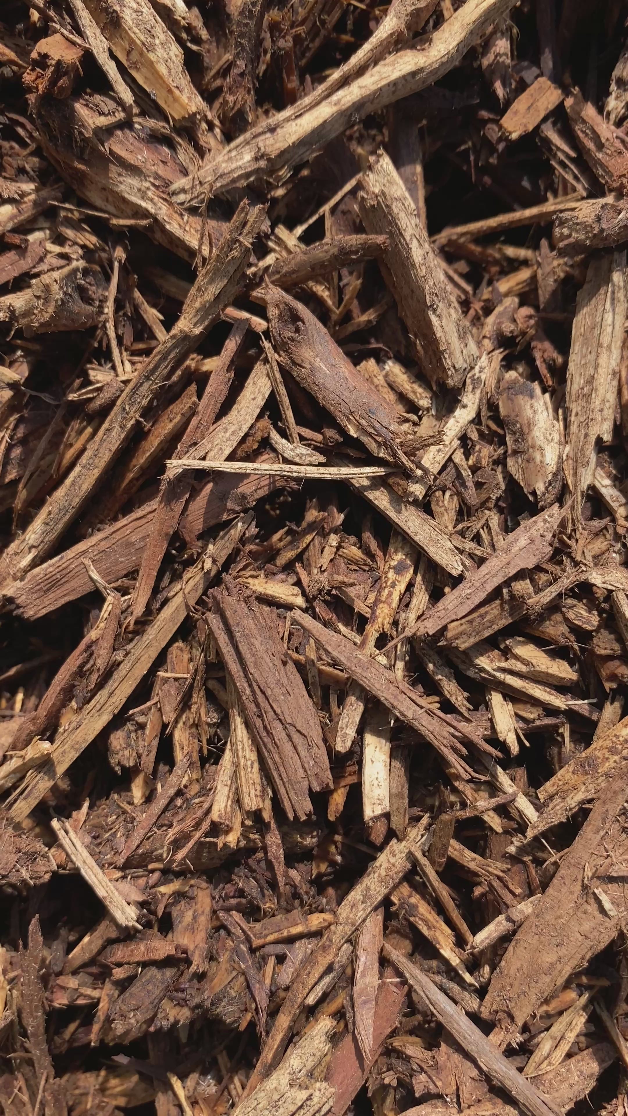 $50/Yard Cedar Mulch Natural Brown